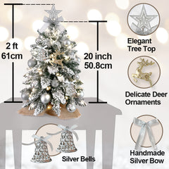 2ft Mini Christmas Tree with Light Artificial Small Tabletop Christmas Decoration with Flocked Snow, Exquisite Decor & Xmas Ornaments for Table Top for Home & Office, Silver