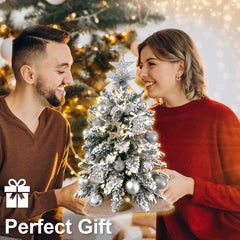 2ft Mini Christmas Tree with Light Artificial Small Tabletop Christmas Decoration with Flocked Snow, Exquisite Decor & Xmas Ornaments for Table Top for Home & Office, Silver