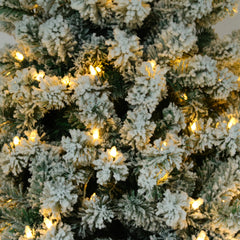 6ft Flocking Tied Light Christmas Tree